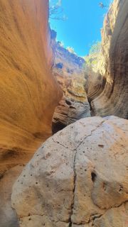 2022-02-GranCan-Barranco_Las_Vacas-PM-NN-13.jpg